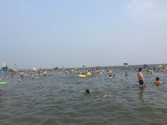 -碧海金沙