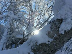 -大秃顶子山