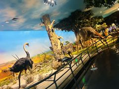 -国家自然博物馆