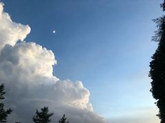 -CoCo都可(十全东店)