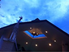 iphone_upload_pic-清迈夜间动物园