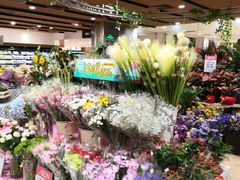 -AEON永旺(东方宝泰店)