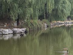 -特佳游泳馆(特佳中心店)