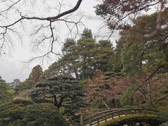 -京都御所