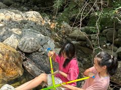 -陕西省红河谷森林公园