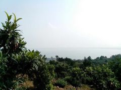 iphone_upload_pic-雨花胜境