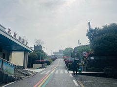 -大金山风景区
