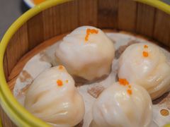 -采蝶轩