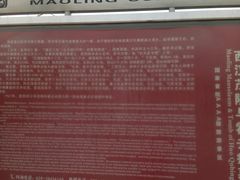 -茂陵博物馆