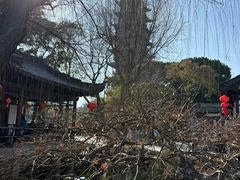 -常熟方塔园