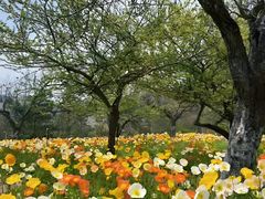 -名花谷生态庄园