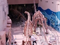 -陕西自然博物馆