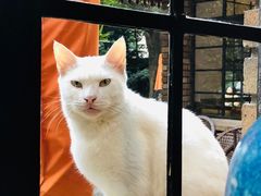 景观位-马勒别墅·中餐厅