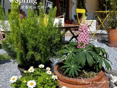 -AHAVA·Fang Baking Studio