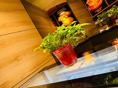 -比格比萨自助(宋家庄店)