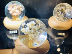 -天空音乐盒(五道营胡同店)