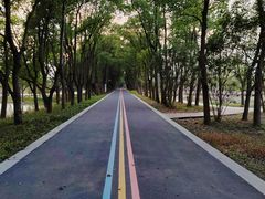 -同里国家湿地公园