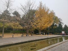 -晋祠公园