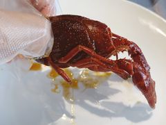 -洪福龙虾