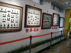 -上海昆虫博物馆