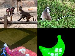 -杭州野生动物世界