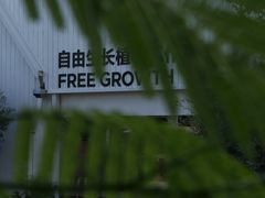 -自由生长植物工作室(深港花卉中心店)