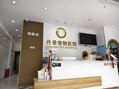 -丹景宠物医院·全科·老年病·牙科(武昌诊疗中心)