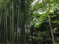 -汇龙潭