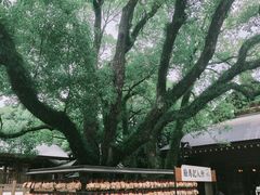-热田神宫