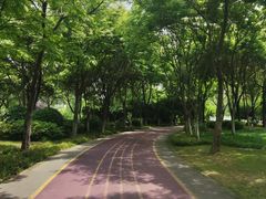 -尚贤河湿地