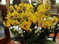 -蝶园·装修中(BFC外滩金融中心店)