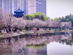 -堤角公园