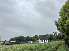-广东花都香草世界旅游度假区