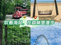 -日照海滨国家森林公园