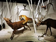 -南宫五洲植物乐园