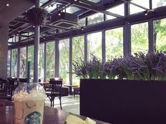 -星巴克(西湖天地店)