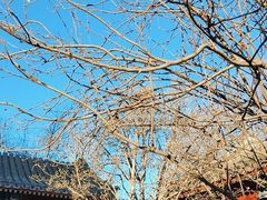 -齐白石旧居纪念馆