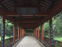 风雨长廊-重庆彩云湖湿地公园