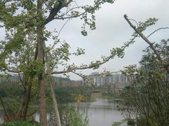 -枫香湖儿童公园