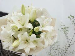 -Flower in(密渡桥店)