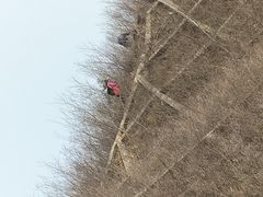-树山生态村