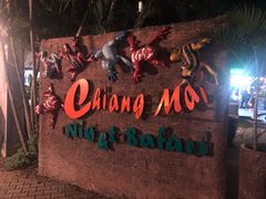 -清迈夜间动物园
