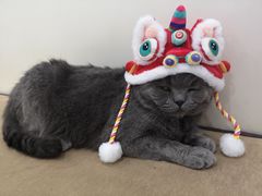 -贝康宠物医院·犬猫全科·小动物特色诊疗中心(东环路店)