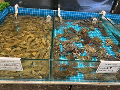 -渡海小渔村.老辈日照菜