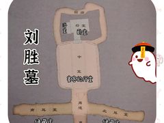 -闵行博物馆