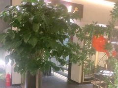 -杏花村水席楼·洛阳水席(老城十字街店)