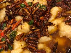 -燕春楼(海河华鼎店)