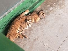 -秦皇岛野生动物园