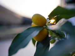 -易生活购物公园