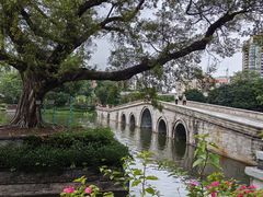 -荔湾湖公园